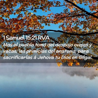 Picture 02 - 1 Samuel 15:21 RVA - Mas el pueblo tomó del despojo ovejas y vacas, - Bible Verse Picture