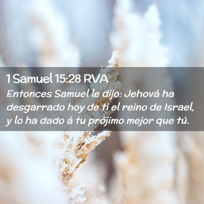 Picture 02 - 1 Samuel 15:28 RVA - Entonces Samuel le dijo: Jehová ha desgarrado - Bible Verse Picture