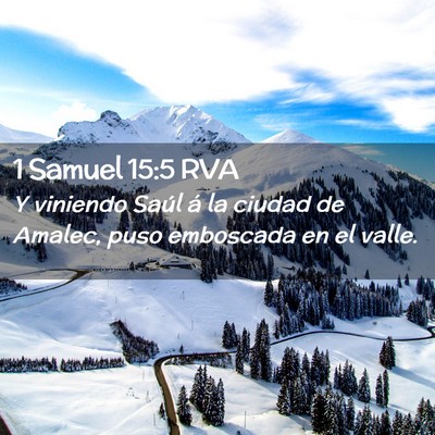 Picture 02 - 1 Samuel 15:5 RVA - Y viniendo Saúl á la ciudad de Amalec, puso - Bible Verse Picture