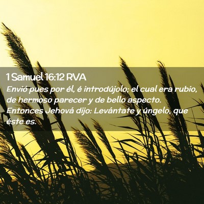 Picture 02 - 1 Samuel 16:12 RVA - Envió pues por él, é introdújolo; el cual era - Bible Verse Picture