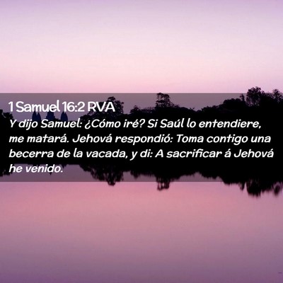 Picture 02 - 1 Samuel 16:2 RVA - Y dijo Samuel: ¿Cómo iré? Si Saúl lo - Bible Verse Picture