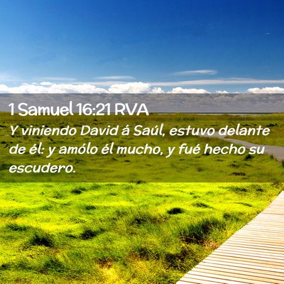 Picture 02 - 1 Samuel 16:21 RVA - Y viniendo David á Saúl, estuvo delante de él: - Bible Verse Picture