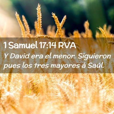 Picture 02 - 1 Samuel 17:14 RVA - Y David era el menor. Siguieron pues los tres - Bible Verse Picture