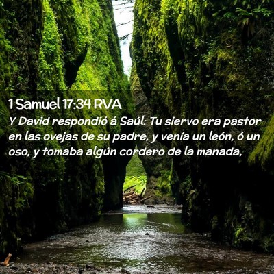 Picture 02 - 1 Samuel 17:34 RVA - Y David respondió á Saúl: Tu siervo era pastor - Bible Verse Picture