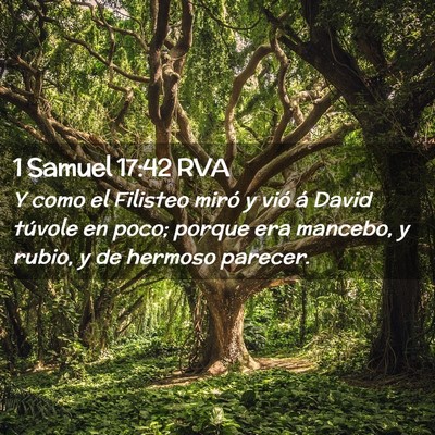 Picture 02 - 1 Samuel 17:42 RVA - Y como el Filisteo miró y vió á David túvole - Bible Verse Picture