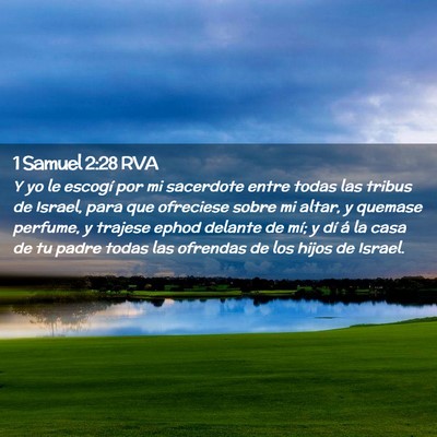 Picture 02 - 1 Samuel 2:28 RVA - Y yo le escogí por mi sacerdote entre todas las - Bible Verse Picture