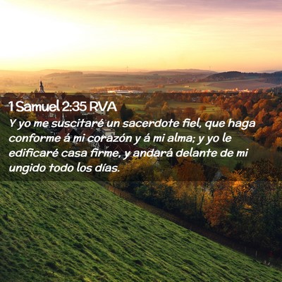 Picture 02 - 1 Samuel 2:35 RVA - Y yo me suscitaré un sacerdote fiel, que haga - Bible Verse Picture