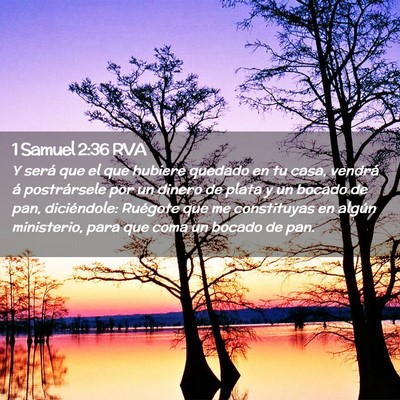 Picture 02 - 1 Samuel 2:36 RVA - Y será que el que hubiere quedado en tu casa, - Bible Verse Picture