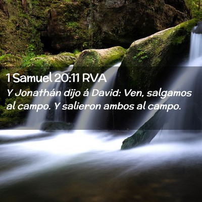 Picture 02 - 1 Samuel 20:11 RVA - Y Jonathán dijo á David: Ven, salgamos al - Bible Verse Picture
