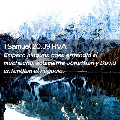 Picture 02 - 1 Samuel 20:39 RVA - Empero ninguna cosa entendió el muchacho: - Bible Verse Picture
