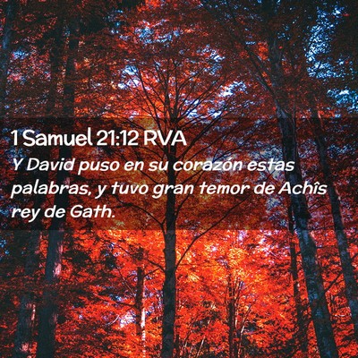 Picture 02 - 1 Samuel 21:12 RVA - Y David puso en su corazón estas palabras, y - Bible Verse Picture