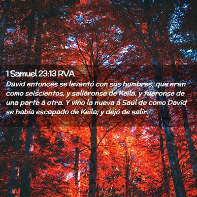 Picture 02 - 1 Samuel 23:13 RVA - David entonces se levantó con sus hombres, que - Bible Verse Picture