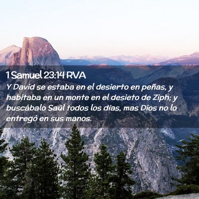 Picture 02 - 1 Samuel 23:14 RVA - Y David se estaba en el desierto en peñas, y - Bible Verse Picture