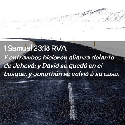 Picture 02 - 1 Samuel 23:18 RVA - Y entrambos hicieron alianza delante de Jehová: - Bible Verse Picture