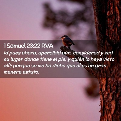 Picture 02 - 1 Samuel 23:22 RVA - Id pues ahora, apercibid aún, considerad y ved - Bible Verse Picture