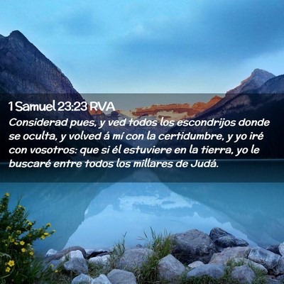 Picture 02 - 1 Samuel 23:23 RVA - Considerad pues, y ved todos los escondrijos - Bible Verse Picture