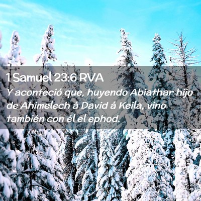 Picture 02 - 1 Samuel 23:6 RVA - Y aconteció que, huyendo Abiathar hijo de - Bible Verse Picture