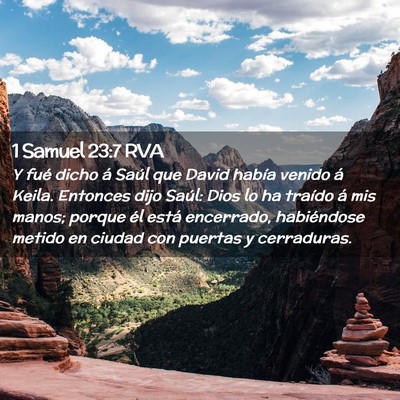Picture 02 - 1 Samuel 23:7 RVA - Y fué dicho á Saúl que David había venido á - Bible Verse Picture