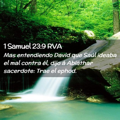 Picture 02 - 1 Samuel 23:9 RVA - Mas entendiendo David que Saúl ideaba el mal - Bible Verse Picture