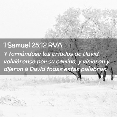 Picture 02 - 1 Samuel 25:12 RVA - Y tornándose los criados de David, volviéronse - Bible Verse Picture