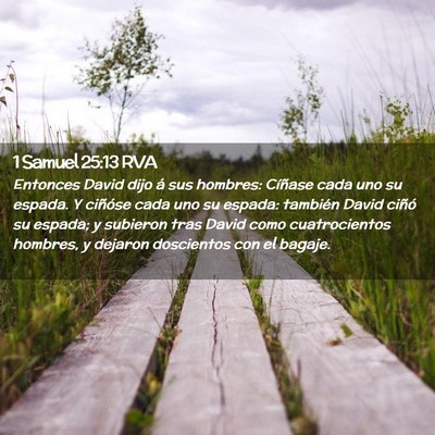Picture 02 - 1 Samuel 25:13 RVA - Entonces David dijo á sus hombres: Cíñase cada - Bible Verse Picture