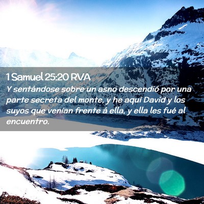 Picture 02 - 1 Samuel 25:20 RVA - Y sentándose sobre un asno descendió por una - Bible Verse Picture