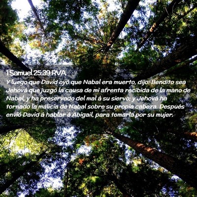 Picture 02 - 1 Samuel 25:39 RVA - Y luego que David oyó que Nabal era muerto, - Bible Verse Picture