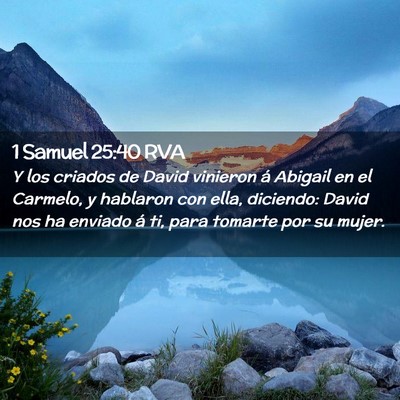 Picture 02 - 1 Samuel 25:40 RVA - Y los criados de David vinieron á Abigail en el - Bible Verse Picture