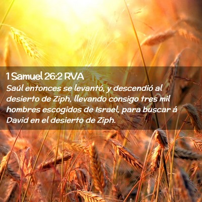 Picture 02 - 1 Samuel 26:2 RVA - Saúl entonces se levantó, y descendió al - Bible Verse Picture
