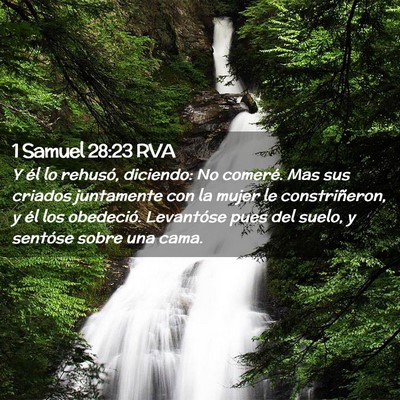 Picture 02 - 1 Samuel 28:23 RVA - Y él lo rehusó, diciendo: No comeré. Mas sus - Bible Verse Picture