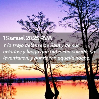 Picture 02 - 1 Samuel 28:25 RVA - Y lo trajo delante de Saúl y de sus criados; y - Bible Verse Picture