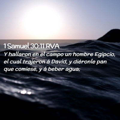 Picture 02 - 1 Samuel 30:11 RVA - Y hallaron en el campo un hombre Egipcio, el cual - Bible Verse Picture