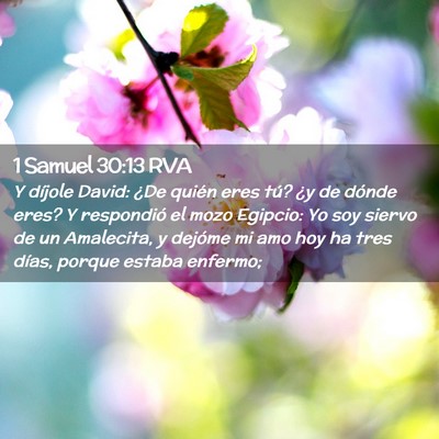 Picture 02 - 1 Samuel 30:13 RVA - Y díjole David: ¿De quién eres tú? ¿y de - Bible Verse Picture