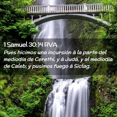 Picture 02 - 1 Samuel 30:14 RVA - Pues hicimos una incursión á la parte del - Bible Verse Picture