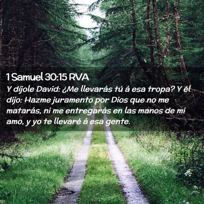 Picture 02 - 1 Samuel 30:15 RVA - Y díjole David: ¿Me llevarás tú á esa tropa? - Bible Verse Picture