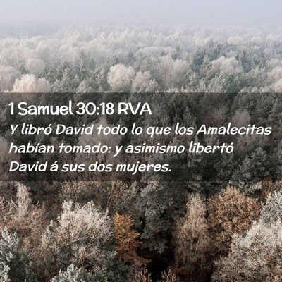 Picture 02 - 1 Samuel 30:18 RVA - Y libró David todo lo que los Amalecitas habían - Bible Verse Picture