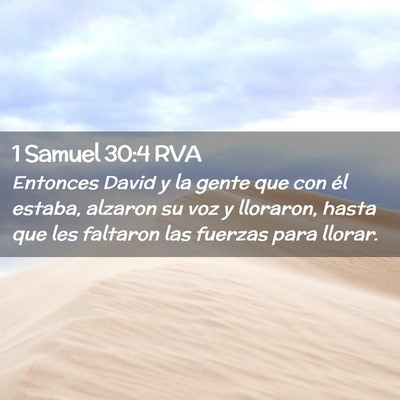Picture 02 - 1 Samuel 30:4 RVA - Entonces David y la gente que con él estaba, - Bible Verse Picture