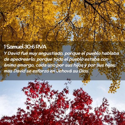 Picture 02 - 1 Samuel 30:6 RVA - Y David fué muy angustiado, porque el pueblo - Bible Verse Picture