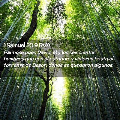 Picture 02 - 1 Samuel 30:9 RVA - Partióse pues David, él y los seiscientos - Bible Verse Picture
