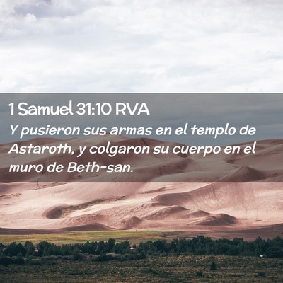 Picture 02 - 1 Samuel 31:10 RVA - Y pusieron sus armas en el templo de Astaroth, y - Bible Verse Picture