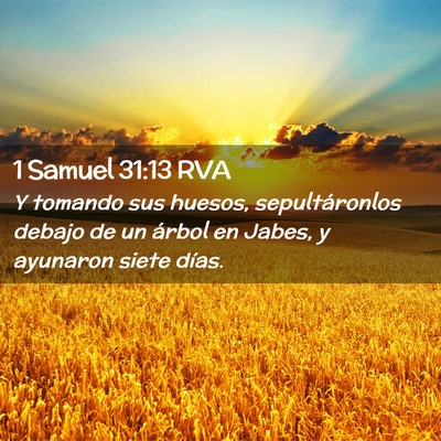 Picture 02 - 1 Samuel 31:13 RVA - Y tomando sus huesos, sepultáronlos debajo de un - Bible Verse Picture
