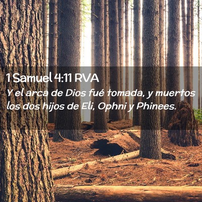 Picture 02 - 1 Samuel 4:11 RVA - Y el arca de Dios fué tomada, y muertos los dos - Bible Verse Picture