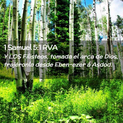 Picture 02 - 1 Samuel 5:1 RVA - Y LOS Filisteos, tomada el arca de Dios, - Bible Verse Picture
