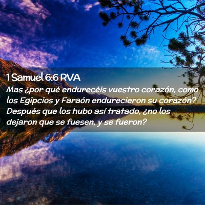 Picture 02 - 1 Samuel 6:6 RVA - Mas ¿por qué endurecéis vuestro corazón, como - Bible Verse Picture