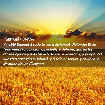 Picture 02 - 1 Samuel 7:3 RVA - Y habló Samuel á toda la casa de Israel, - Bible Verse Picture