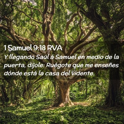 Picture 02 - 1 Samuel 9:18 RVA - Y llegando Saúl á Samuel en medio de la puerta, - Bible Verse Picture