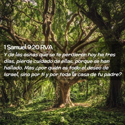 Picture 02 - 1 Samuel 9:20 RVA - Y de las asnas que se te perdieron hoy ha tres - Bible Verse Picture