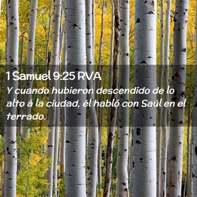 Picture 02 - 1 Samuel 9:25 RVA - Y cuando hubieron descendido de lo alto á la - Bible Verse Picture