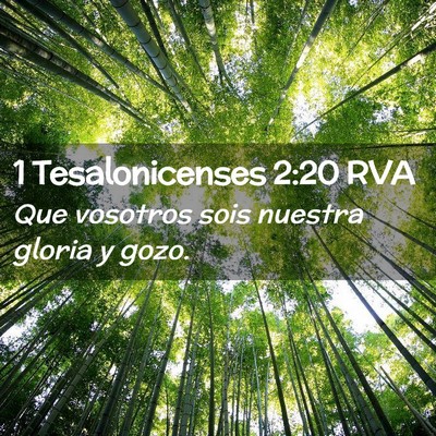 Picture 02 - 1 Tesalonicenses 2:20 RVA - Que vosotros sois nuestra gloria y - Bible Verse Picture