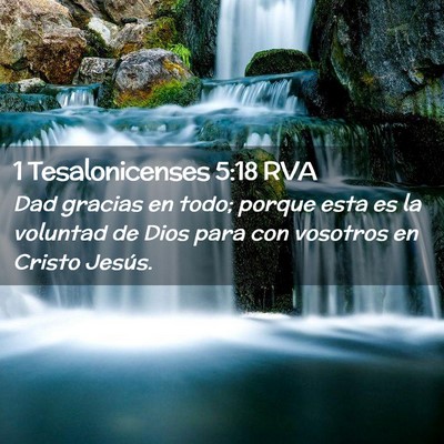 Picture 02 - 1 Tesalonicenses 5:18 RVA - Dad gracias en todo; porque esta es la voluntad - Bible Verse Picture